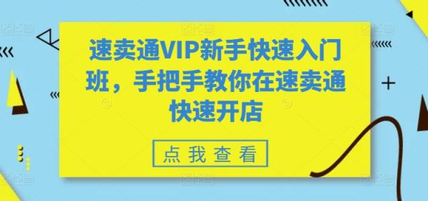 速卖通VIP新手快速入门班，手把手教你在速卖通快速开店-秀人资源网