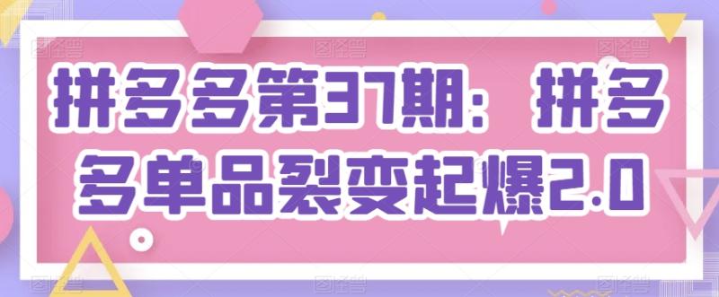 拼多多第37期：拼多多单品裂变起爆2.0-整合资源网