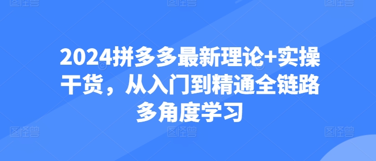 2024拼多多最新理论+实操干货，从入门到精通全链路多角度学习-秀人资源网