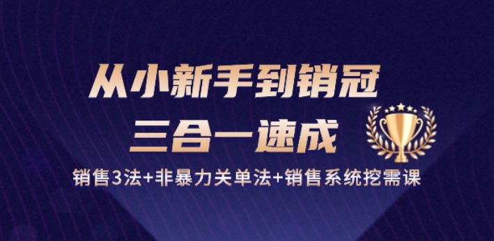 从小新手到销冠 三合一速成：销售3法+非暴力关单法+销售系统挖需课 (27节)-整合资源网