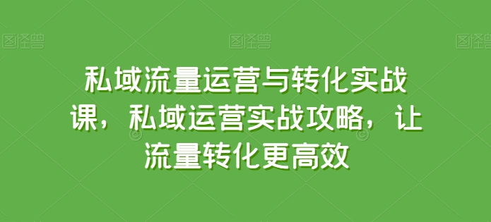 私域流量运营与转化实战课，私域运营实战攻略，让流量转化更高效-秀人资源网