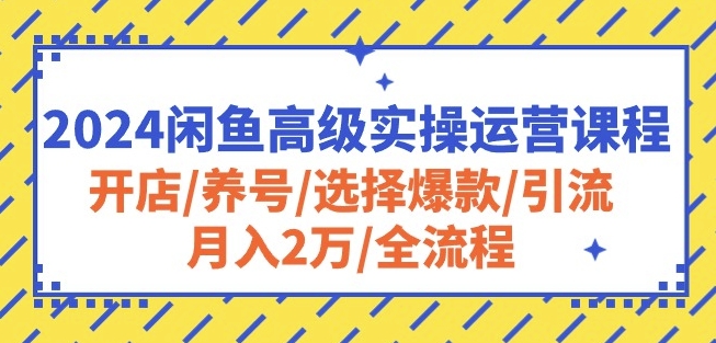 2024闲鱼高级实操运营课程：开店/养号/选择爆款/引流/月入2万/全流程-秀人资源网