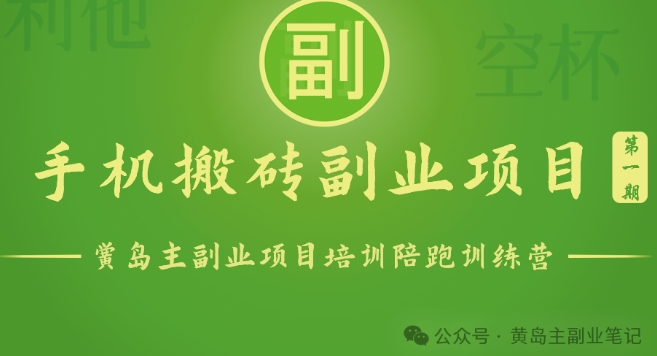 手机搬砖小副业项目训练营1.0，实测1小时收益50+，一部手机轻松日入100+-秀人资源网