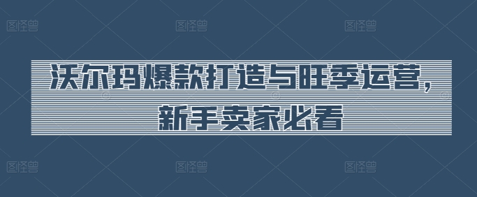 沃尔玛爆款打造与旺季运营，新手卖家必看-秀人资源网