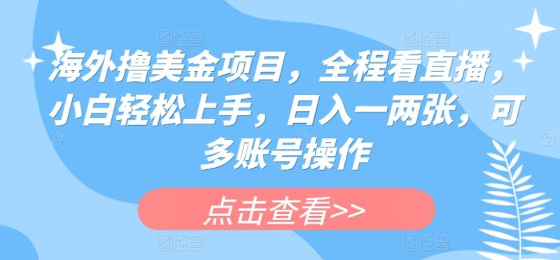 海外撸美金项目，全程看直播，小白轻松上手，日入一两张，可多账号操作【揭秘】-秀人资源网