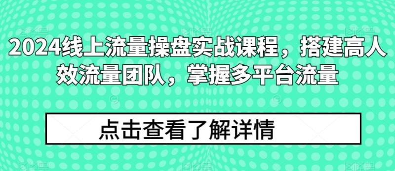 2024线上流量操盘实战课程，搭建高人效流量团队，掌握多平台流量-整合资源网