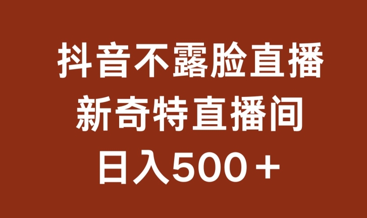 不露脸挂机直播，新奇特直播间，日入500+【揭秘】-秀人资源网