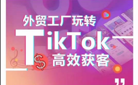 外贸工厂玩转TikTok高效获客，多种引流方式与账号定位技巧，拆解爆款短视频打造成功案例-秀人资源网