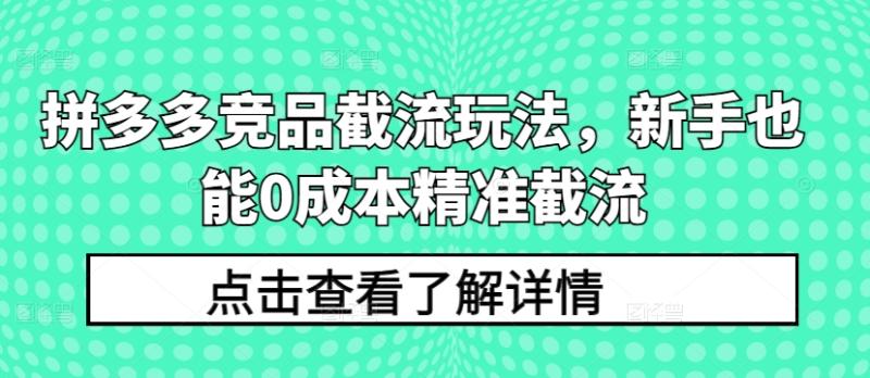 拼多多竞品截流玩法，新手也能0成本精准截流-秀人资源网