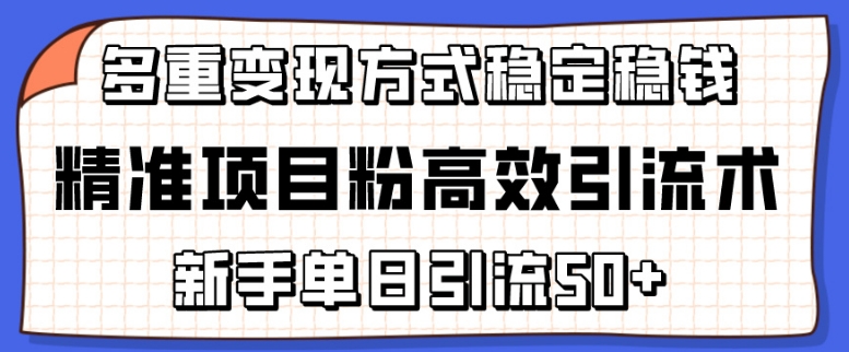 精准项目粉高效引流术，新手单日引流50+，多重变现方式稳定赚钱【揭秘】-秀人资源网