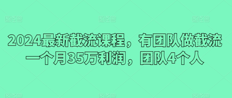 2024最新截流课程，有团队做截流一个月35万利润，团队4个人-整合资源网