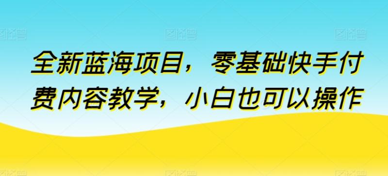 全新蓝海项目，零基础快手付费内容教学，小白也可以操作【揭秘】-整合资源网