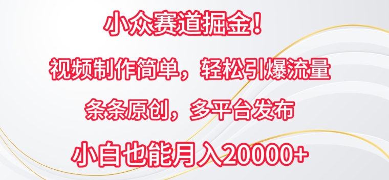 小众赛道掘金，视频制作简单，轻松引爆流量，条条原创，多平台发布【揭秘】-秀人资源网
