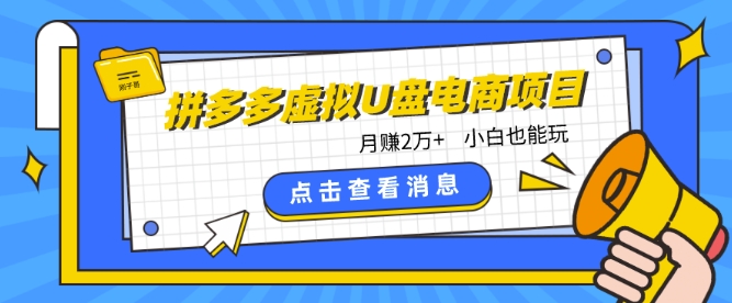 拼多多虚拟U盘电商红利项目：月赚2万+，新手小白也能玩-秀人资源网