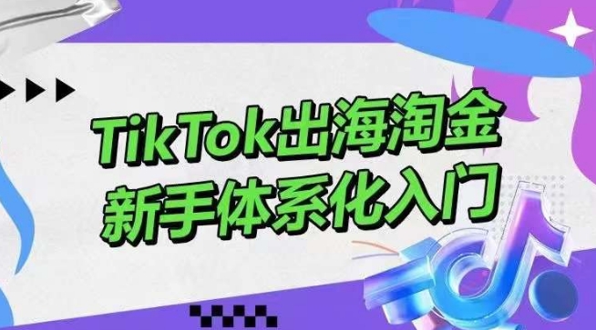 TikTok出海淘金，新手体系化入门，零基础快速入门，掌握短视频、直播带货等引流到变现的知识-秀人资源网