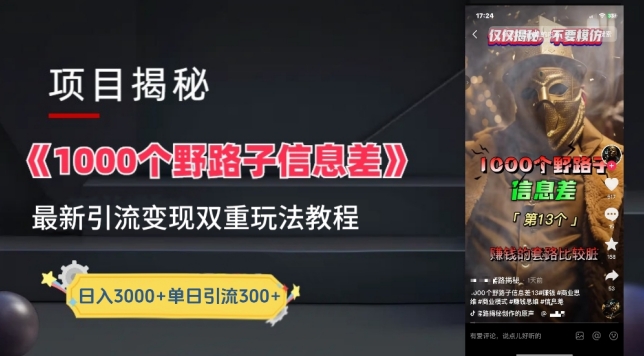 一千个野路子信息差最新玩法教程-变现+引流的玩法具体拆解【揭秘】-秀人资源网