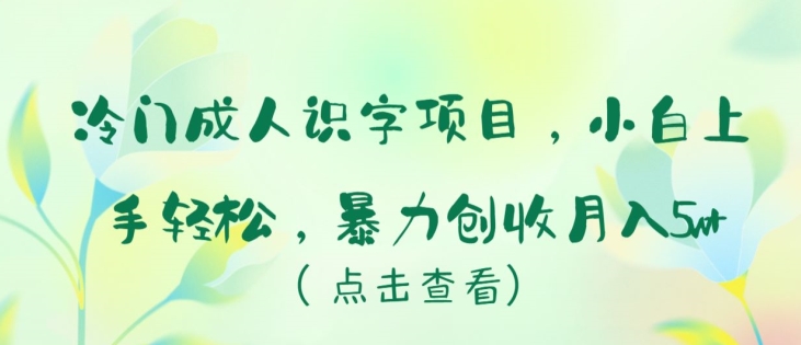 冷门成人识字项目，小白上手轻松，暴力创收月入5w+【揭秘】-秀人资源网