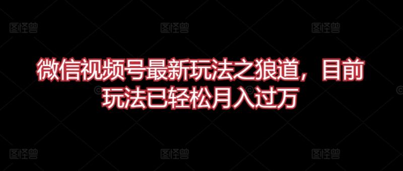 微信视频号最新玩法之狼道，目前玩法已轻松月入过万【揭秘】-秀人资源网