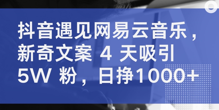 抖音遇见网易云音乐，新奇文案 4 天吸引 5W 粉，日挣1000+【揭秘】-秀人资源网