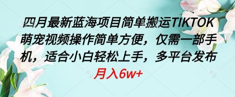 四月最新蓝海项目，简单搬运TIKTOK萌宠视频，操作简单方便，仅需一部手机【揭秘】-秀人资源网