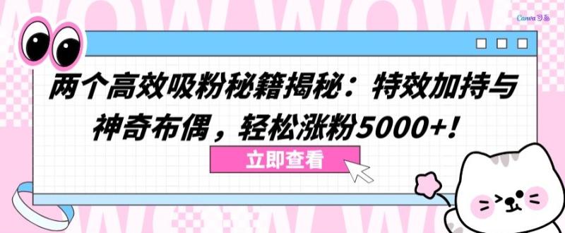 两个高效吸粉秘籍揭秘：特效加持与神奇布偶，轻松涨粉5000+【揭秘】-秀人资源网