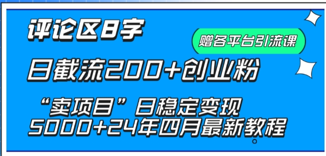 抖音评论区8字日截流200+创业粉 “卖项目”日稳定变现5000+【揭秘】-整合资源网