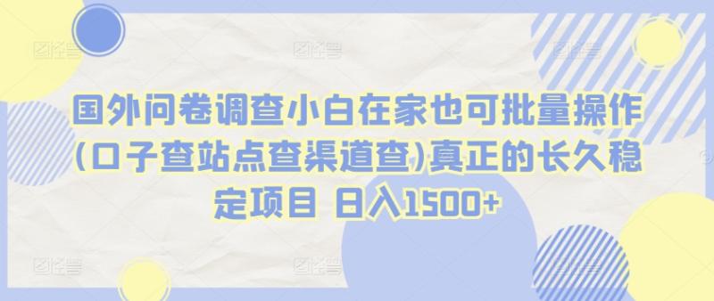 国外问卷调查小白在家也可批量操作(口子查站点查渠道查)真正的长久稳定项目 日入1500+【揭秘】-秀人资源网