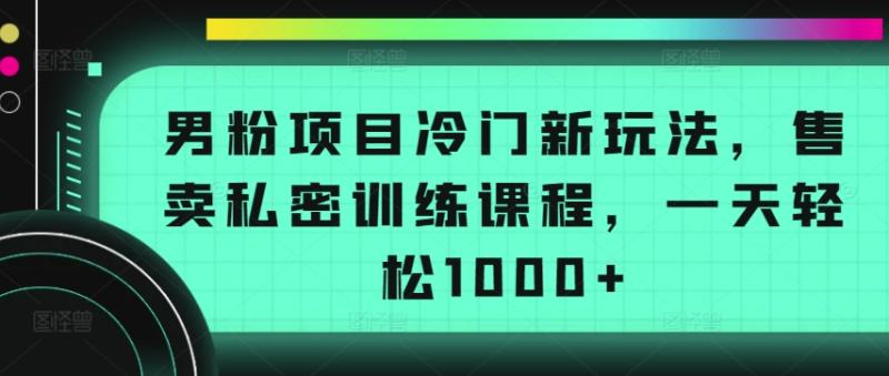 男粉项目冷门新玩法，售卖私密训练课程，一天轻松1000+【揭秘】-秀人资源网
