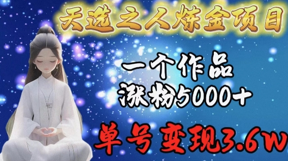 天选之人炼金项目，一个作品涨粉5000+，单号变现3.6w【揭秘】-秀人资源网
