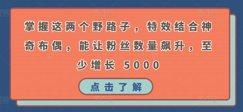 掌握这两个野路子，特效结合神奇布偶，能让粉丝数量飙升，至少增长 5000【揭秘】-秀人资源网