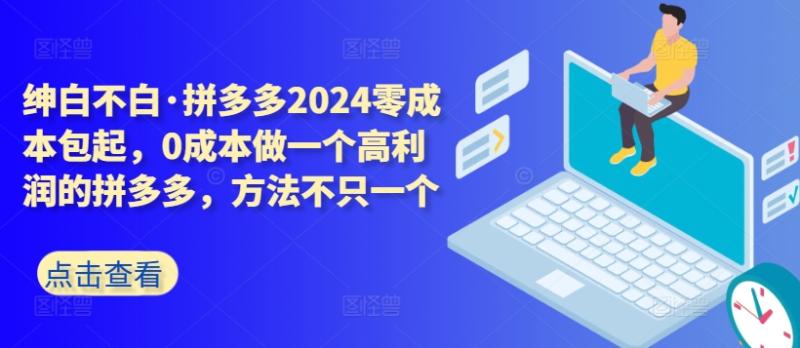 拼多多2024零成本包起，0成本做一个高利润的拼多多，方法不只一个-整合资源网