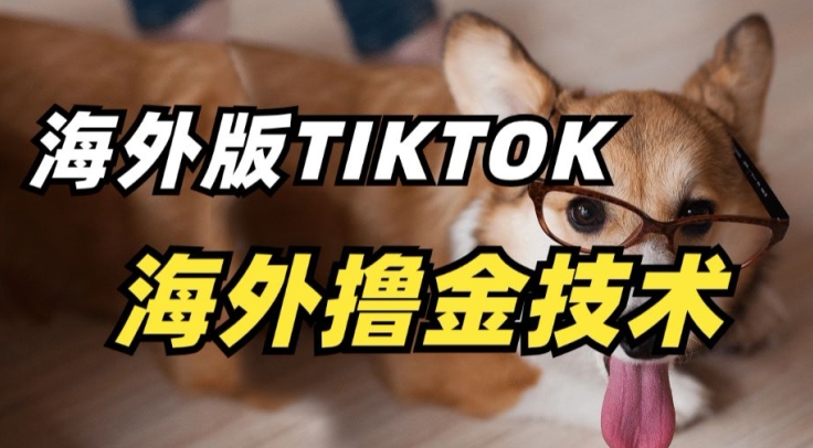 抖音海外版tiktok撸金技术，这个风口行业，赚钱真的不难【揭秘】-秀人资源网