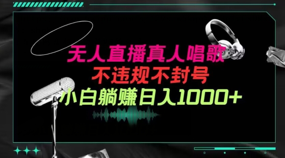 抖音24小时无人直播音乐，不违规，不封号纯撸音浪，小白实操当天日入1000+【揭秘】-秀人资源网