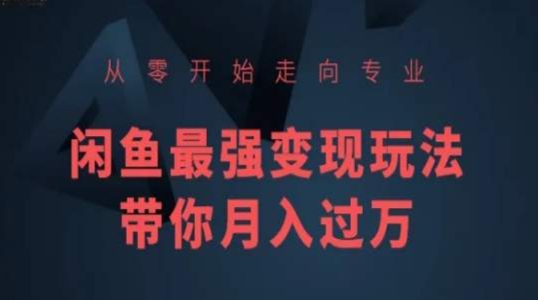 从零开始走向专业，闲鱼最强变现玩法带你月入过万-秀人资源网