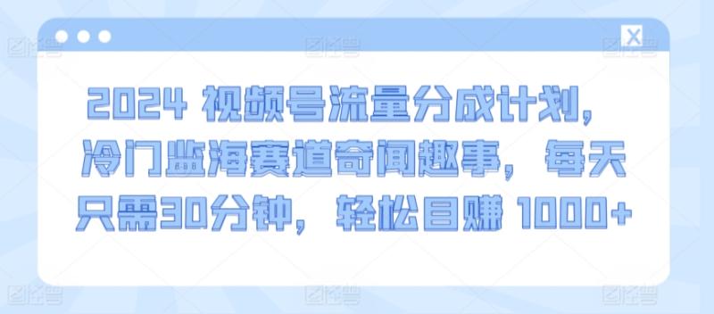 2024视频号流量分成计划，冷门监海赛道奇闻趣事，每天只需30分钟，轻松目赚 1000+【揭秘】-秀人资源网