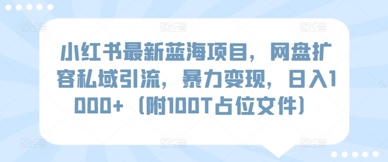 小红书最新蓝海项目，网盘扩容私域引流，暴力变现，日入1000+（附100T占位文件）【揭秘】-秀人资源网