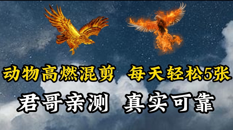动物超燃混剪，每天轻松5张，剪辑简单大家爱看【揭秘】-整合资源网