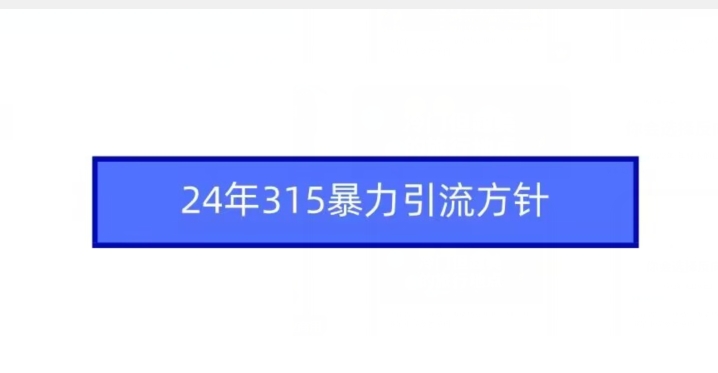 24年315暴力引流方针-秀人资源网