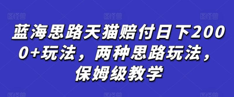蓝海思路天猫赔付日下2000+玩法，两种思路玩法，保姆级教学【仅揭秘】-整合资源网