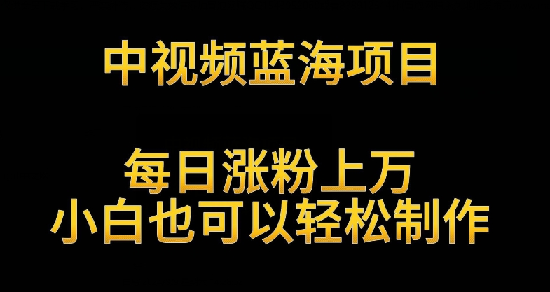中视频蓝海项目，解读英雄人物生平，每日涨粉上万，小白也可以轻松制作，月入过万不是梦【揭秘】-整合资源网
