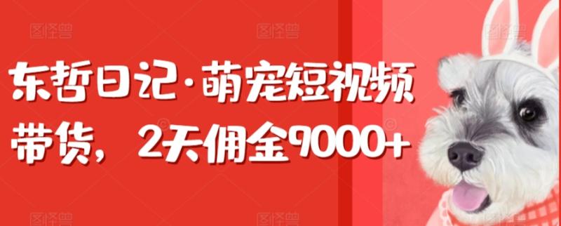 东哲日记·萌宠短视频带货，2天佣金9000+-秀人资源网