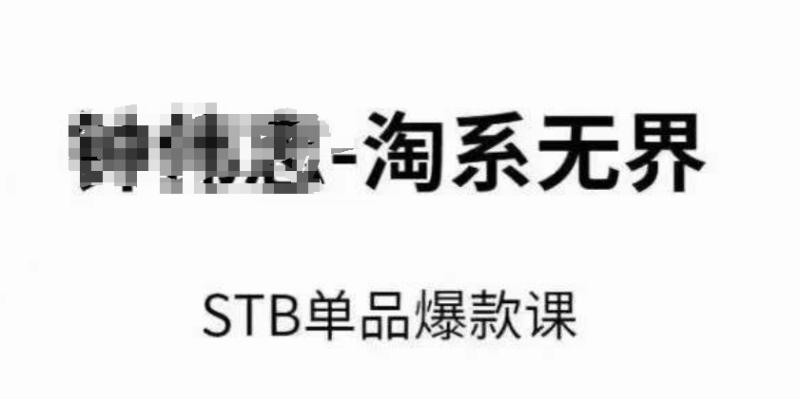 淘系无界STB单品爆款课（2024），付费带动免费的核心逻辑，万相台无界关键词推广/精准人群的核心-秀人资源网
