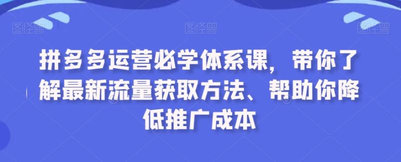拼多多运营必学体系课，带你了解最新流量获取方法、帮助你降低推广成本-秀人资源网