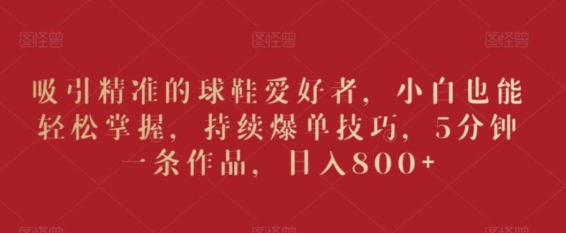 吸引精准的球鞋爱好者，小白也能轻松掌握，持续爆单技巧，5分钟一条作品，日入800+【揭秘】-整合资源网