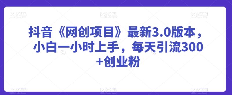抖音《网创项目》最新3.0版本，小白一小时上手，每天引流300+创业粉【揭秘】-秀人资源网