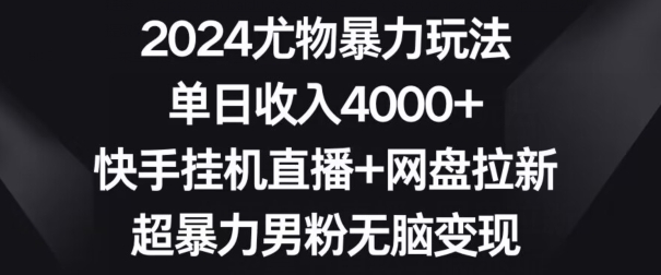 2024尤物暴力玩法，单日收入4000+，快手挂机直播+网盘拉新，超暴力男粉无脑变现【揭秘】-整合资源网