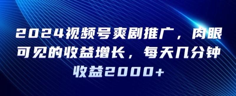 2024视频号爽剧推广，肉眼可见的收益增长，每天几分钟收益2000+【揭秘】-整合资源网