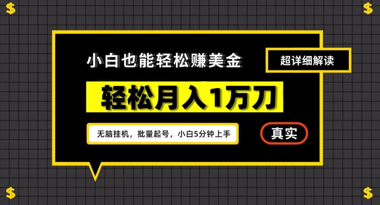 谷歌看广告撸美金2.0，无脑挂机，多号操作，月入1万刀【揭秘】-秀人资源网