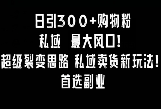日引300+购物粉，超级裂变思路，私域卖货新玩法，小红书首选副业【揭秘】-秀人资源网