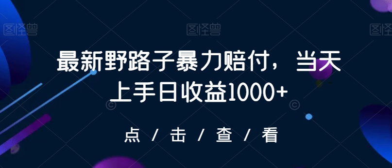 最新野路子暴力赔付，当天上手日收益1000+【仅揭秘】-秀人资源网